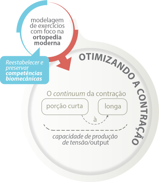 Exercício em função da ortopedia moderna