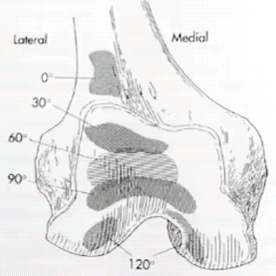 Dor anterior no joelho patologias